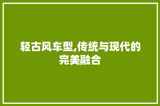 轻古风车型,传统与现代的完美融合
