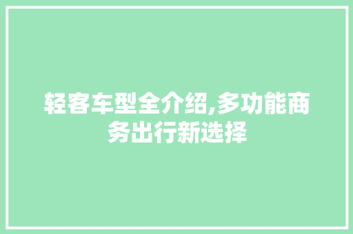 轻客车型全介绍,多功能商务出行新选择