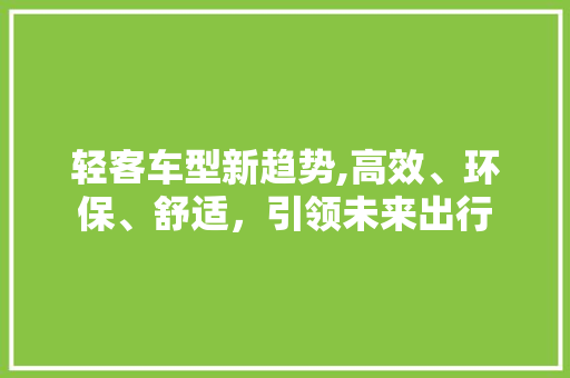 轻客车型新趋势,高效、环保、舒适，引领未来出行