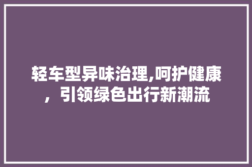 轻车型异味治理,呵护健康，引领绿色出行新潮流