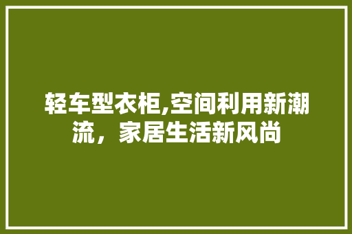 轻车型衣柜,空间利用新潮流，家居生活新风尚