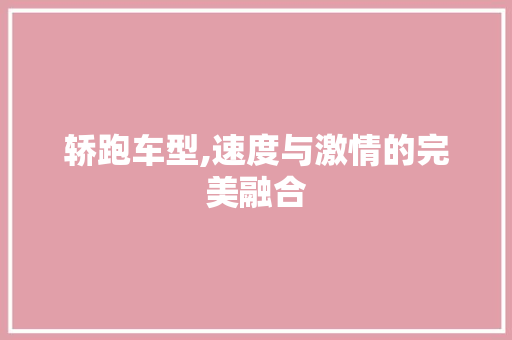 轿跑车型,速度与激情的完美融合