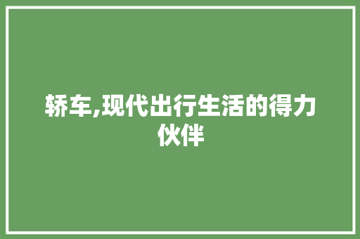 轿车,现代出行生活的得力伙伴