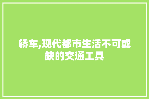 轿车,现代都市生活不可或缺的交通工具