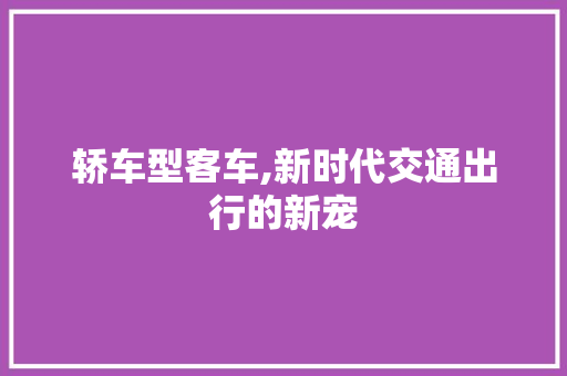 轿车型客车,新时代交通出行的新宠