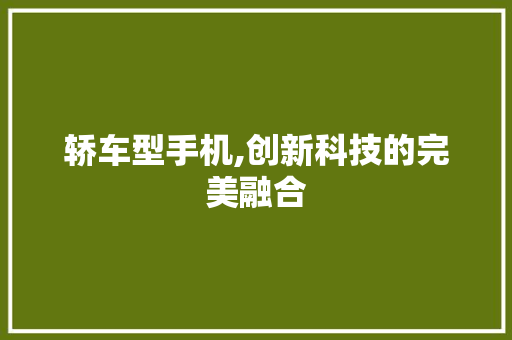 轿车型手机,创新科技的完美融合