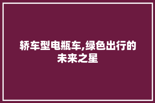 轿车型电瓶车,绿色出行的未来之星
