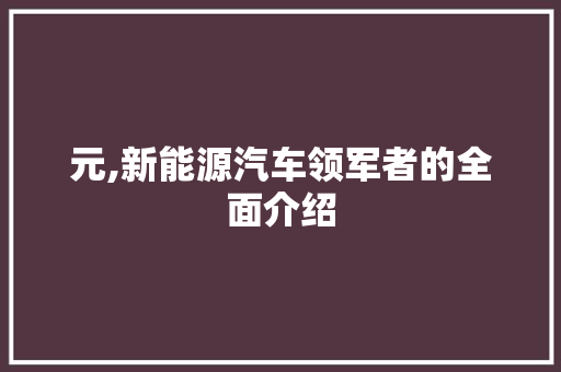 元,新能源汽车领军者的全面介绍