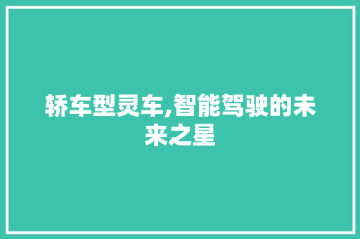 轿车型灵车,智能驾驶的未来之星