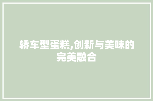 轿车型蛋糕,创新与美味的完美融合