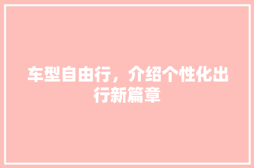 车型自由行，介绍个性化出行新篇章