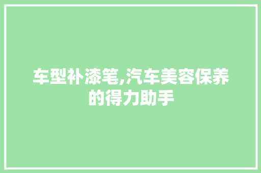 车型补漆笔,汽车美容保养的得力助手