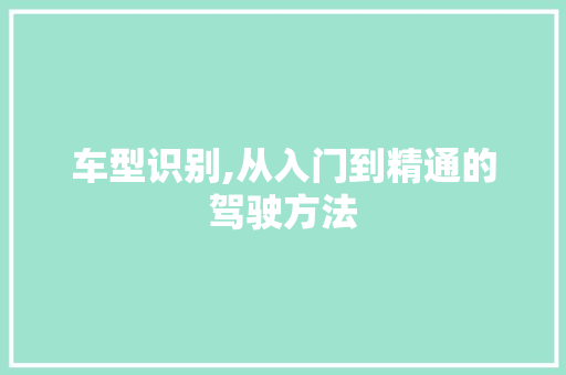 车型识别,从入门到精通的驾驶方法