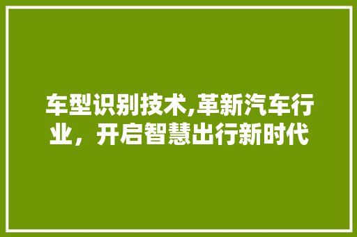 车型识别技术,革新汽车行业，开启智慧出行新时代