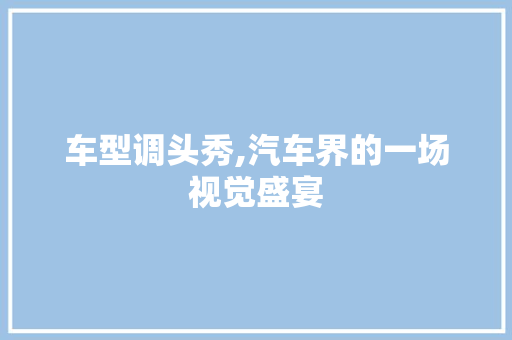 车型调头秀,汽车界的一场视觉盛宴