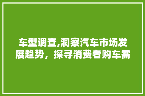 车型调查,洞察汽车市场发展趋势，探寻消费者购车需求