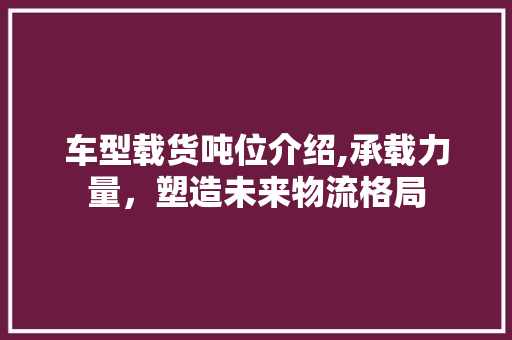 车型载货吨位介绍,承载力量，塑造未来物流格局