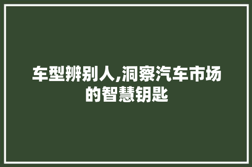 车型辨别人,洞察汽车市场的智慧钥匙