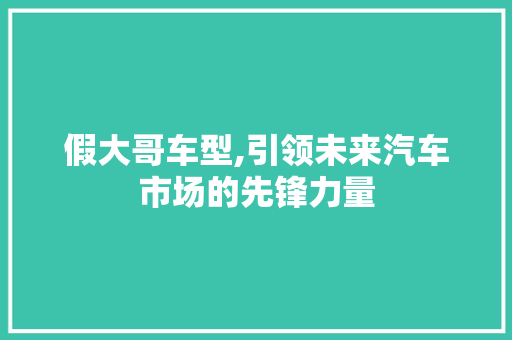 假大哥车型,引领未来汽车市场的先锋力量