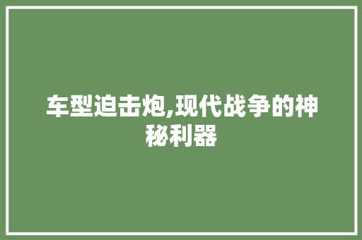 车型迫击炮,现代战争的神秘利器