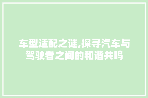车型适配之谜,探寻汽车与驾驶者之间的和谐共鸣