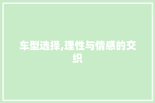 车型选择,理性与情感的交织