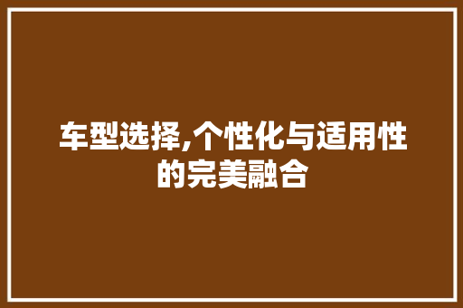 车型选择,个性化与适用性的完美融合