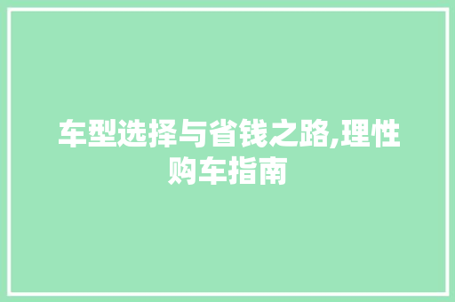 车型选择与省钱之路,理性购车指南