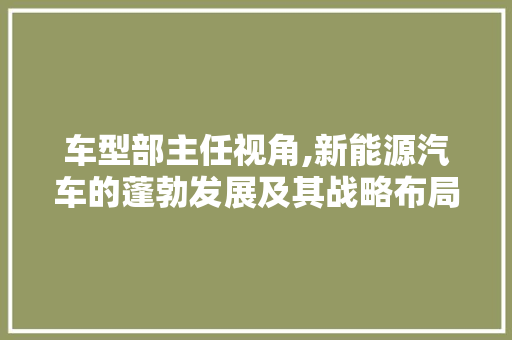 车型部主任视角,新能源汽车的蓬勃发展及其战略布局