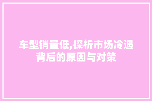 车型销量低,探析市场冷遇背后的原因与对策