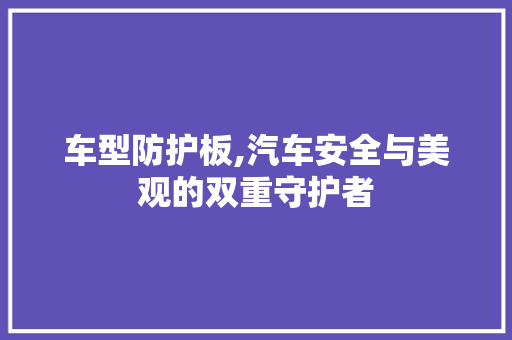 车型防护板,汽车安全与美观的双重守护者