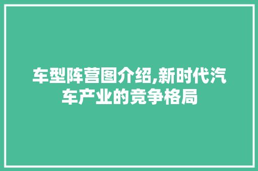 车型阵营图介绍,新时代汽车产业的竞争格局