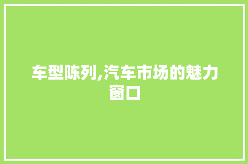 车型陈列,汽车市场的魅力窗口