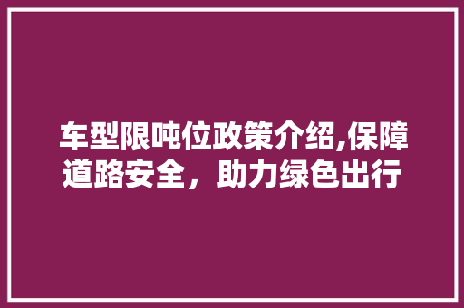 车型限吨位政策介绍,保障道路安全，助力绿色出行