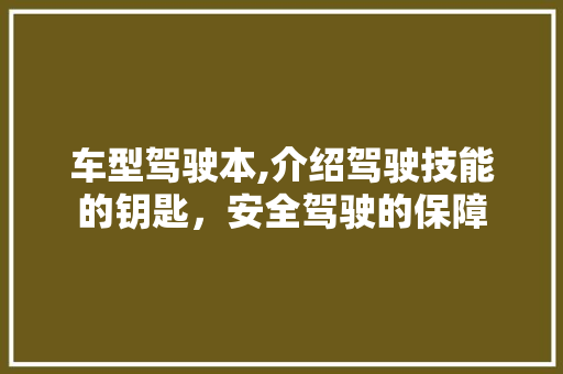 车型驾驶本,介绍驾驶技能的钥匙，安全驾驶的保障