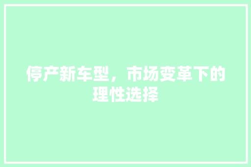 停产新车型，市场变革下的理性选择