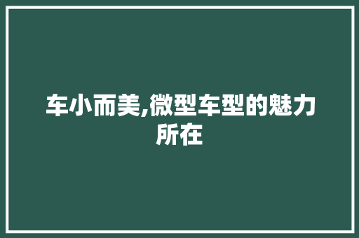 车小而美,微型车型的魅力所在