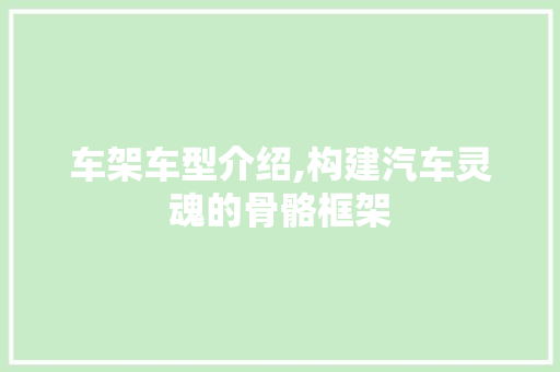车架车型介绍,构建汽车灵魂的骨骼框架