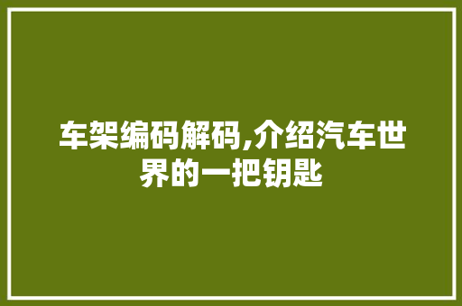 车架编码解码,介绍汽车世界的一把钥匙