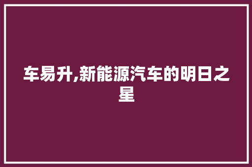 车易升,新能源汽车的明日之星