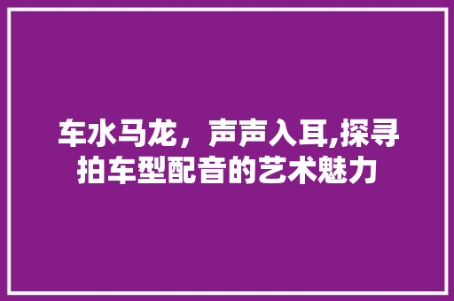 车水马龙，声声入耳,探寻拍车型配音的艺术魅力