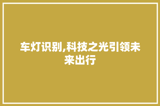 车灯识别,科技之光引领未来出行