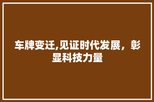 车牌变迁,见证时代发展，彰显科技力量