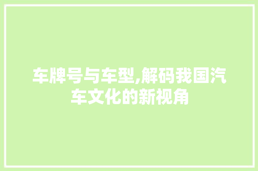 车牌号与车型,解码我国汽车文化的新视角 车身配件