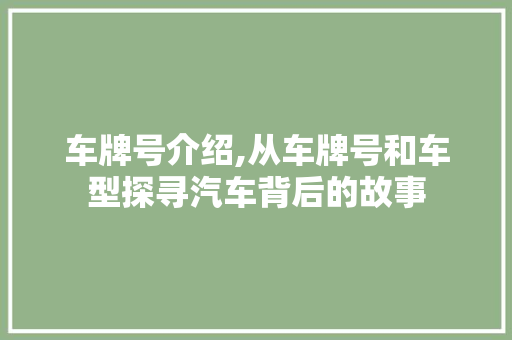 车牌号介绍,从车牌号和车型探寻汽车背后的故事