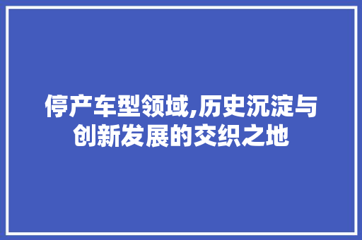 停产车型领域,历史沉淀与创新发展的交织之地