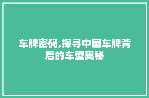 车牌密码,探寻中国车牌背后的车型奥秘