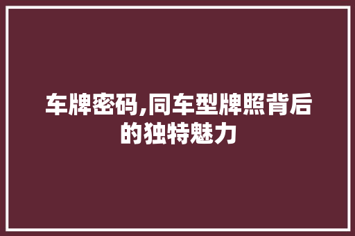 车牌密码,同车型牌照背后的独特魅力