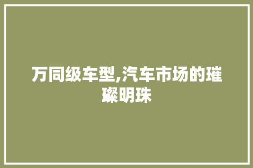 万同级车型,汽车市场的璀璨明珠
