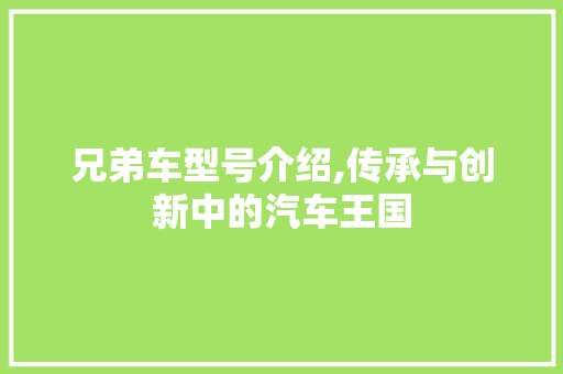 兄弟车型号介绍,传承与创新中的汽车王国